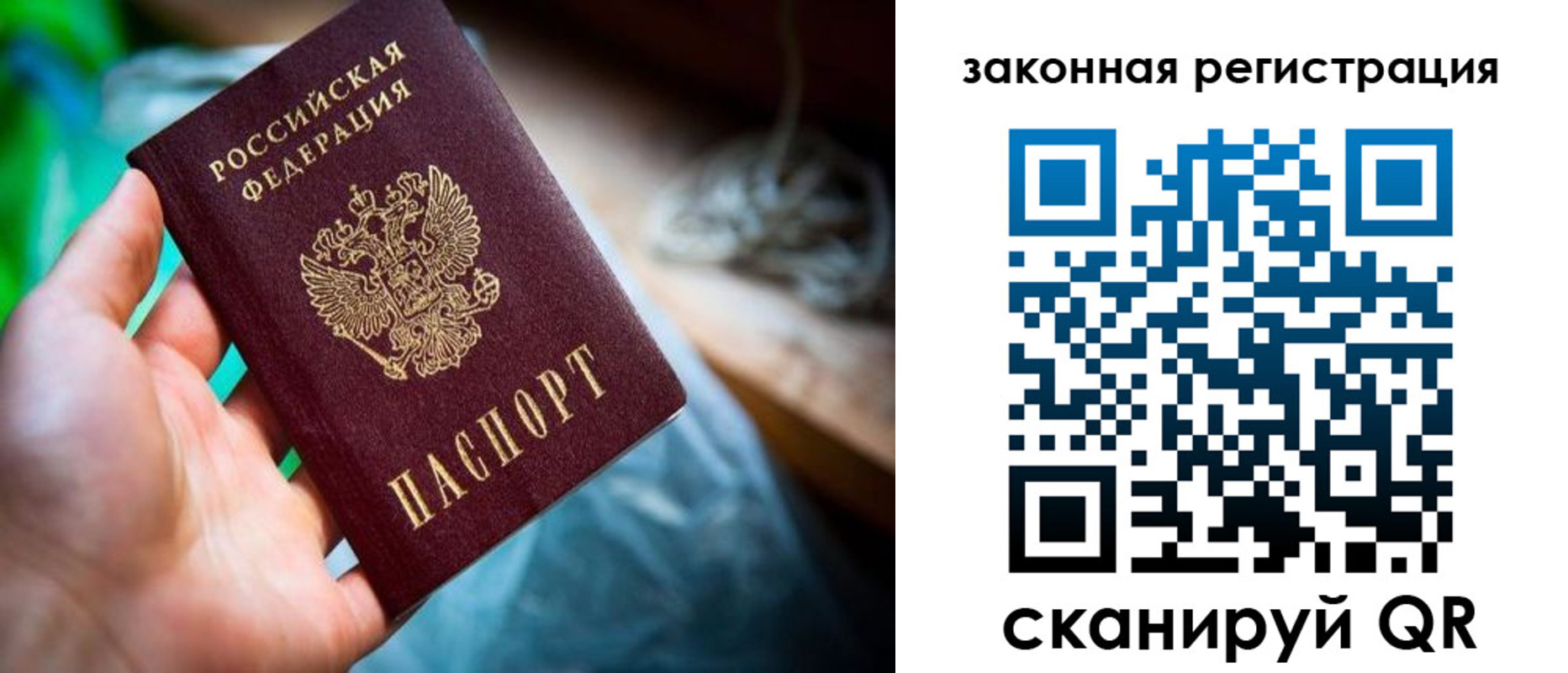 прописка в Венёве